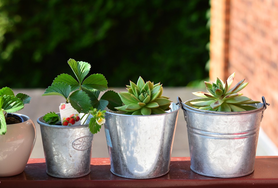 potager de balcon