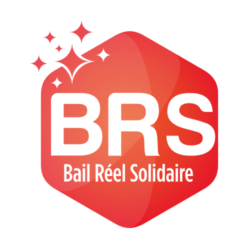 logo-brs