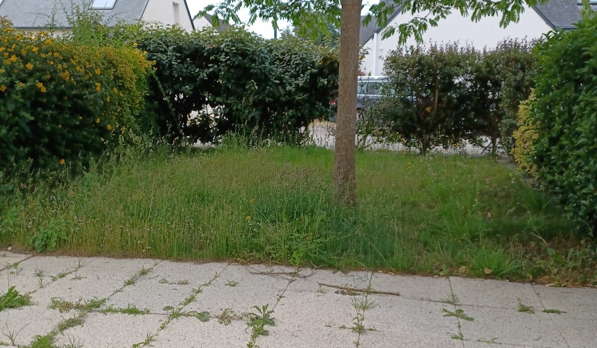 LE PONT LOROIS – Plouhinec - 1-uid-SITE_BAILLEUR_IMOJA_3290850214_20250606033012