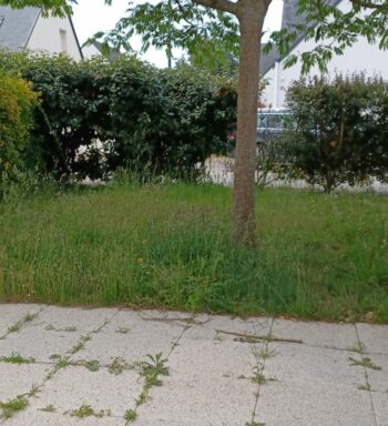 LE PONT LOROIS – Plouhinec - 1-uid-SITE_BAILLEUR_IMOJA_3290850214_20250606033012