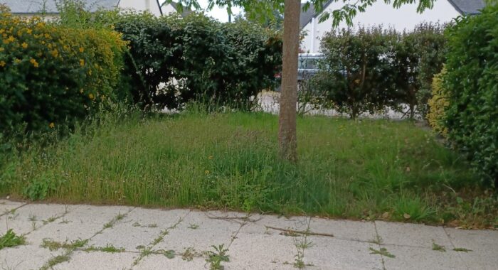 LE PONT LOROIS – Plouhinec - 1-uid-SITE_BAILLEUR_IMOJA_3290850214_20250606033012