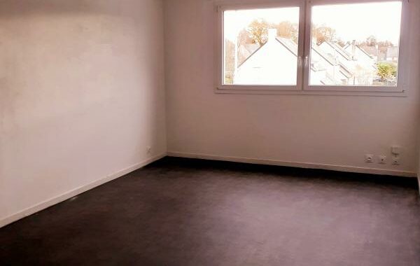 Grand T2 – Nantes - 1-uid-SITE_BAILLEUR_IMOJA_3290850214_20260102101006